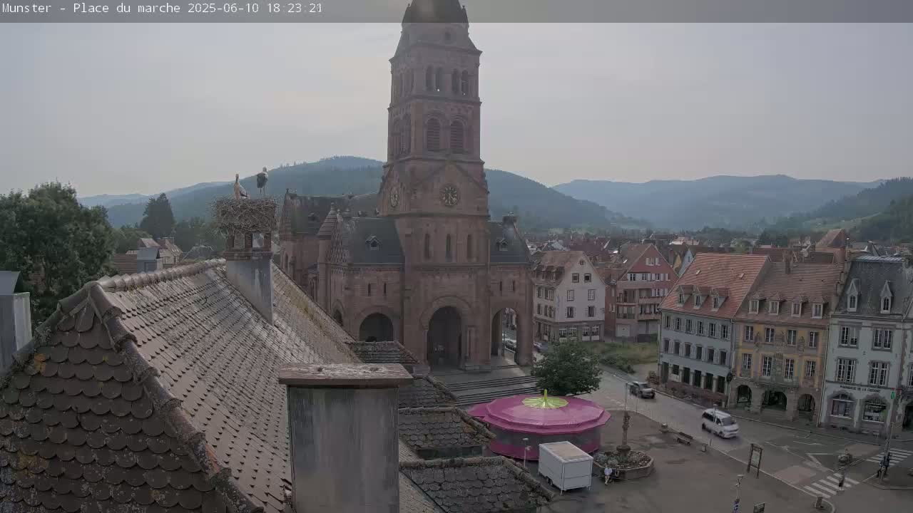 A view from a rooftop shows a town square with a church, several buildings, a small carousel, and a stork nest on a chimney, all under an overcast sky.