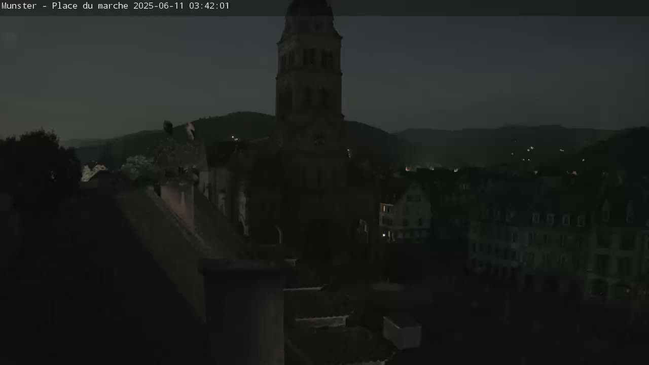 Munster,Place du Marché ( Market Square) & La Fontaine Lion Fountain / Église protestante (Protestant Church) Live Cam -  Colmar-Ribeauvillé, Haut-Rhin, Grand Est, France