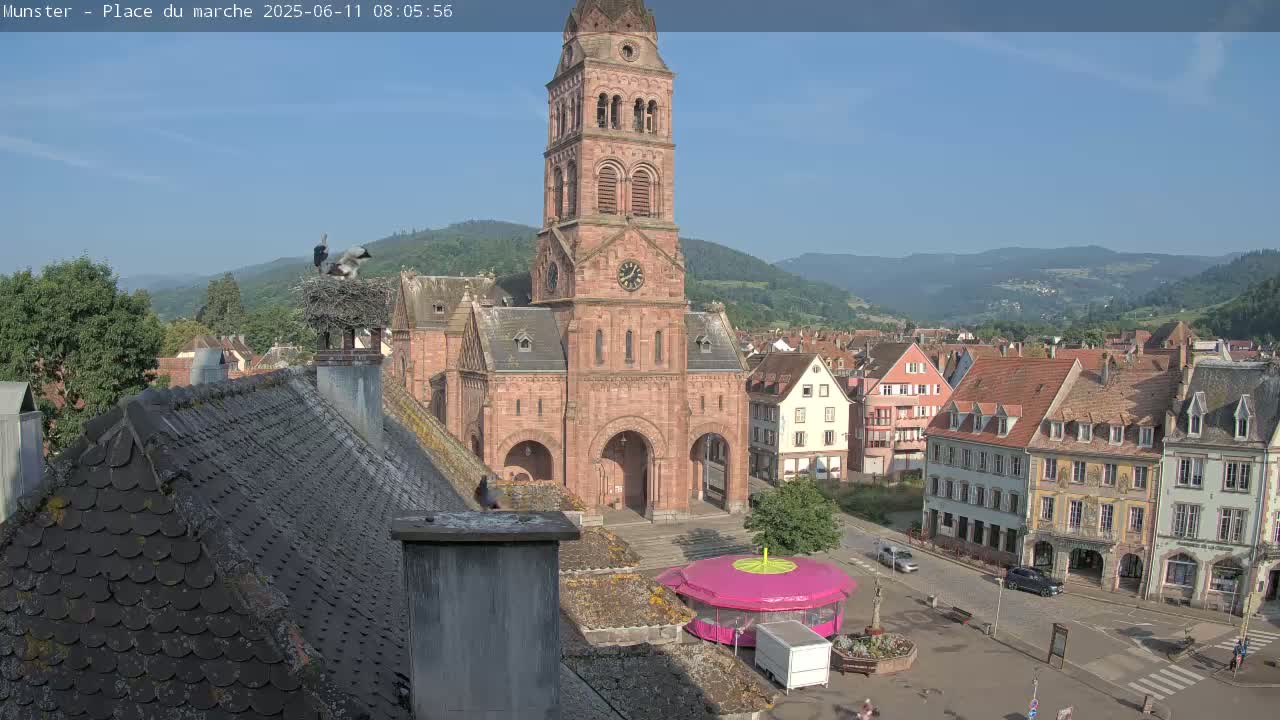 Munster,Place du Marché ( Market Square) & La Fontaine Lion Fountain / Église protestante (Protestant Church) Live Cam -  Colmar-Ribeauvillé, Haut-Rhin, Grand Est, France