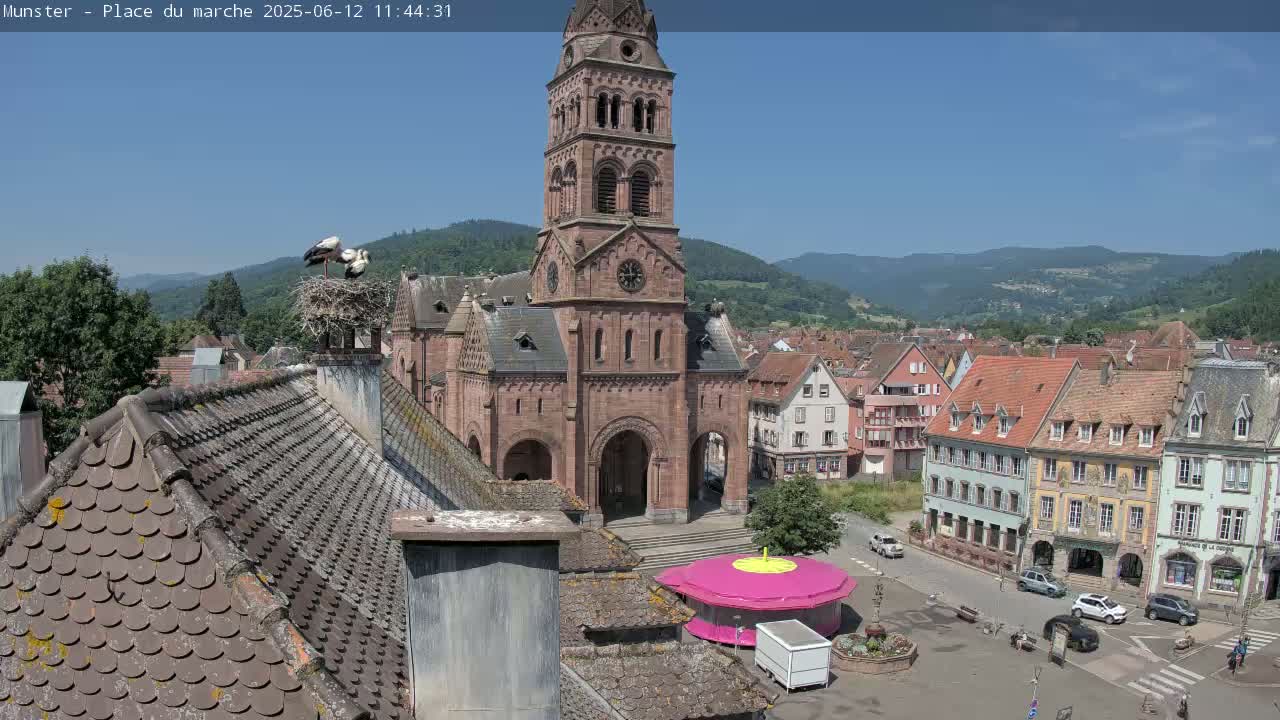 A town square with a large church, surrounded by buildings, a small carousel, and storks nesting on a rooftop, all under a clear, sunny sky.
