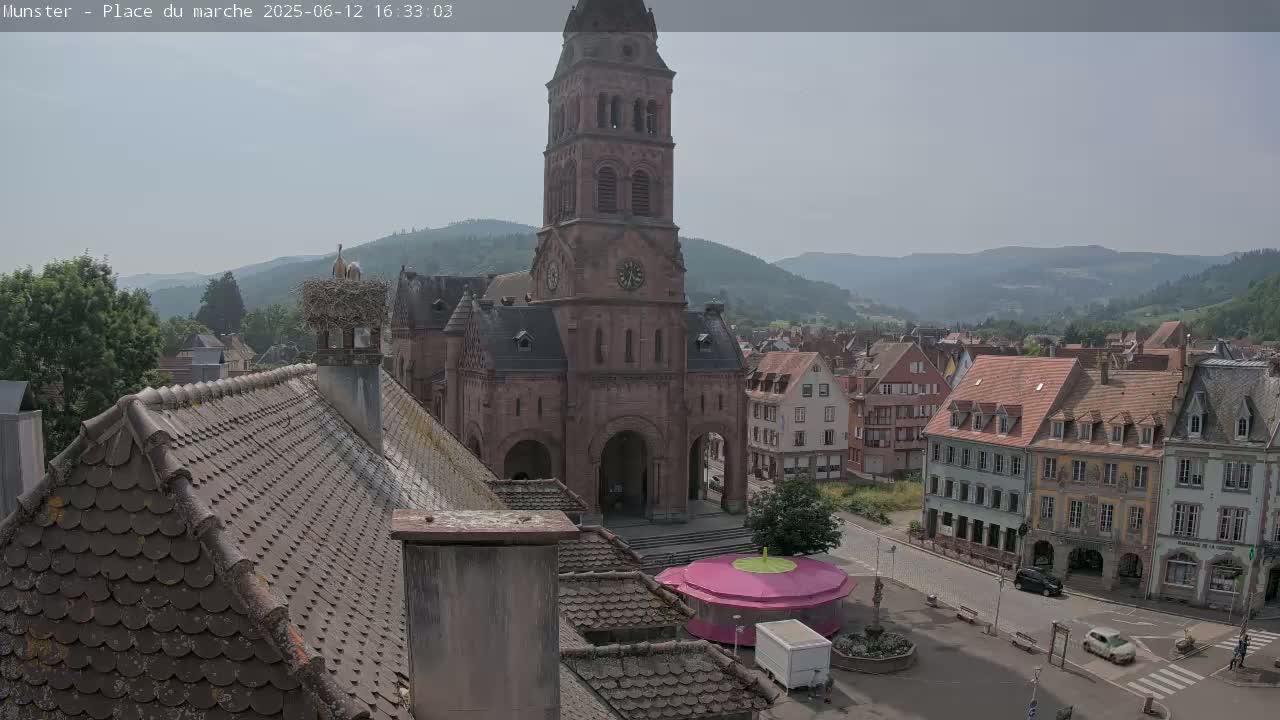 A view from a rooftop shows a town square with a church, several buildings, a small carousel, and storks in a nest on a chimney, all under a hazy sky.