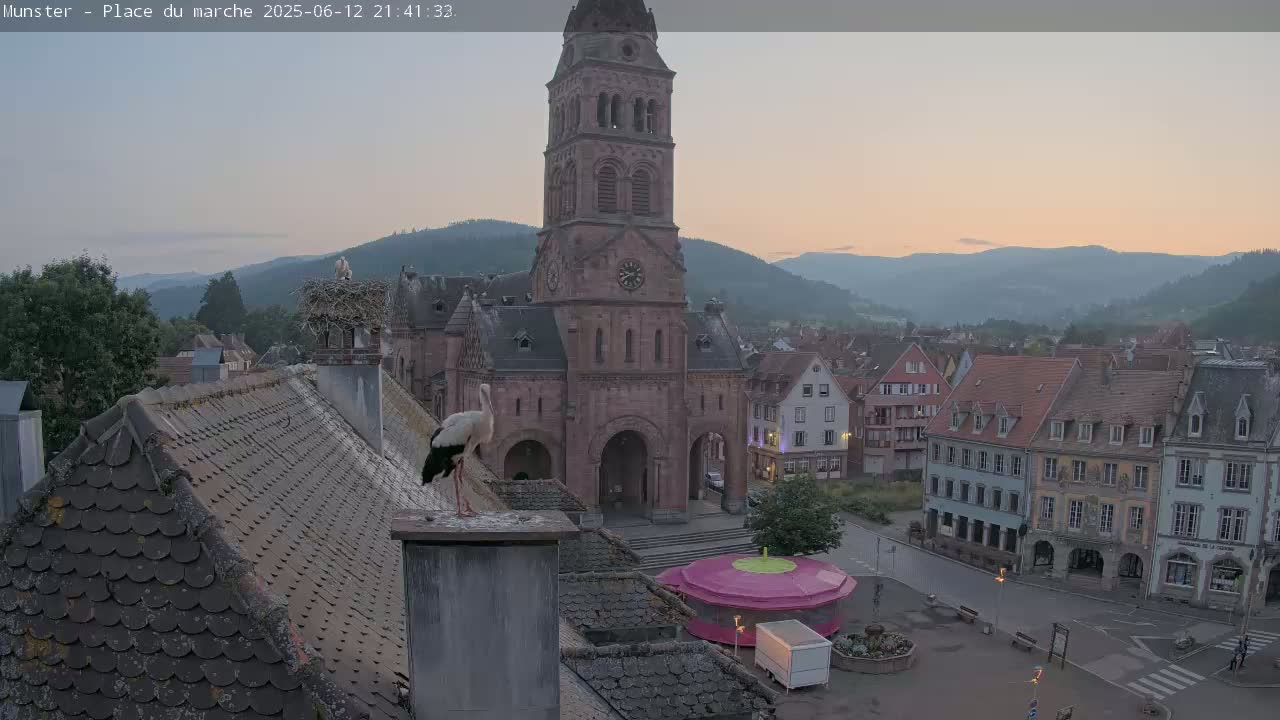 Munster,Place du Marché ( Market Square) & La Fontaine Lion Fountain / Église protestante (Protestant Church) Live Cam -  Colmar-Ribeauvillé, Haut-Rhin, Grand Est, France