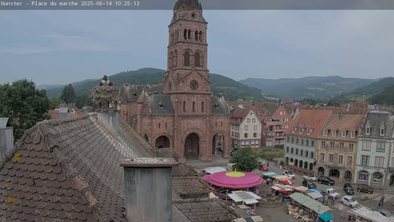 An overcast day reveals a town square with a market, a large church with a tall tower, and a stork's nest atop a chimney;  hills rise in the background.