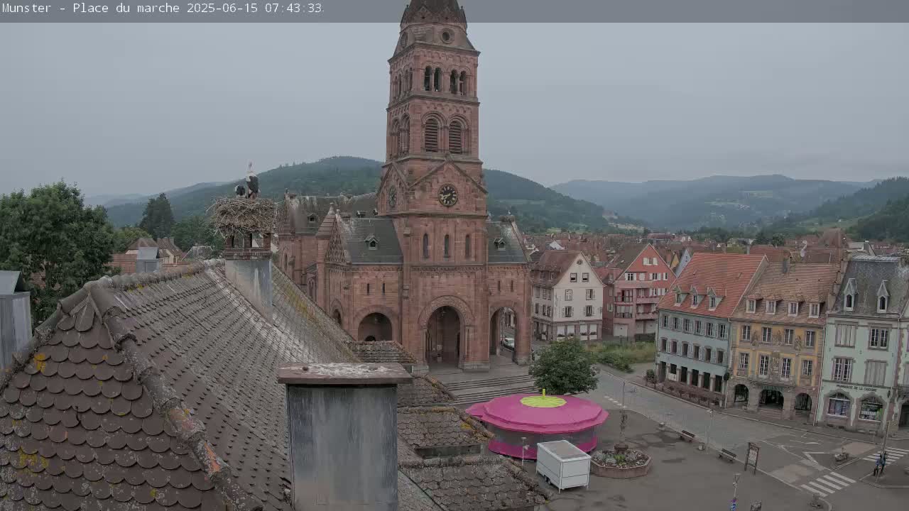Munster,Place du Marché ( Market Square) & La Fontaine Lion Fountain / Église protestante (Protestant Church) Live Cam -  Colmar-Ribeauvillé, Haut-Rhin, Grand Est, France