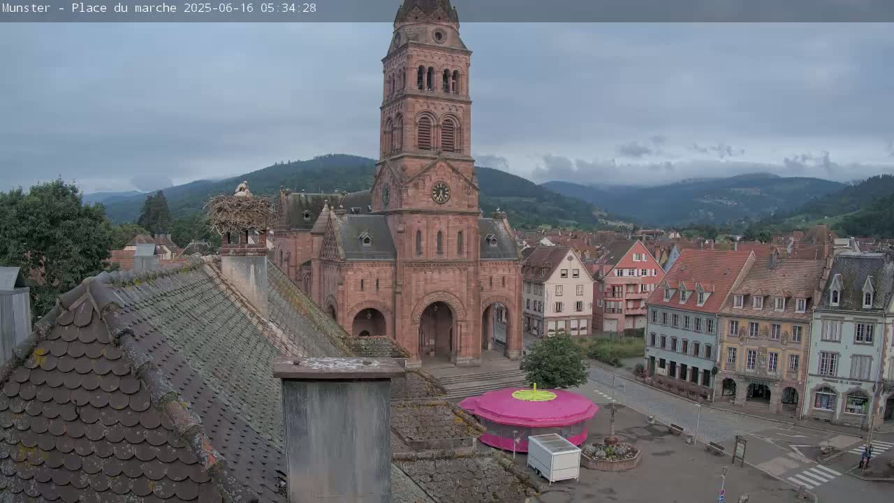 Munster,Place du Marché ( Market Square) & La Fontaine Lion Fountain / Église protestante (Protestant Church) Live Cam -  Colmar-Ribeauvillé, Haut-Rhin, Grand Est, France