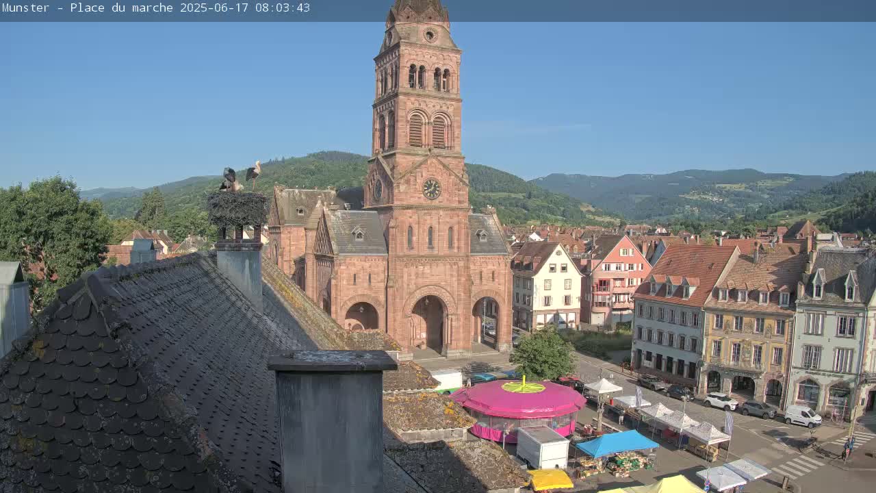 Munster,Place du Marché ( Market Square) & La Fontaine Lion Fountain / Église protestante (Protestant Church) Live Cam -  Colmar-Ribeauvillé, Haut-Rhin, Grand Est, France