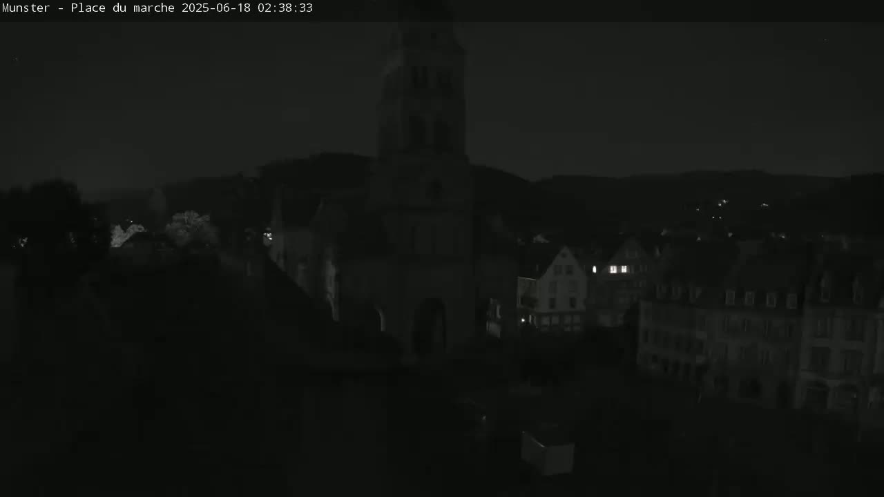 Munster,Place du Marché ( Market Square) & La Fontaine Lion Fountain / Église protestante (Protestant Church) Live Cam -  Colmar-Ribeauvillé, Haut-Rhin, Grand Est, France