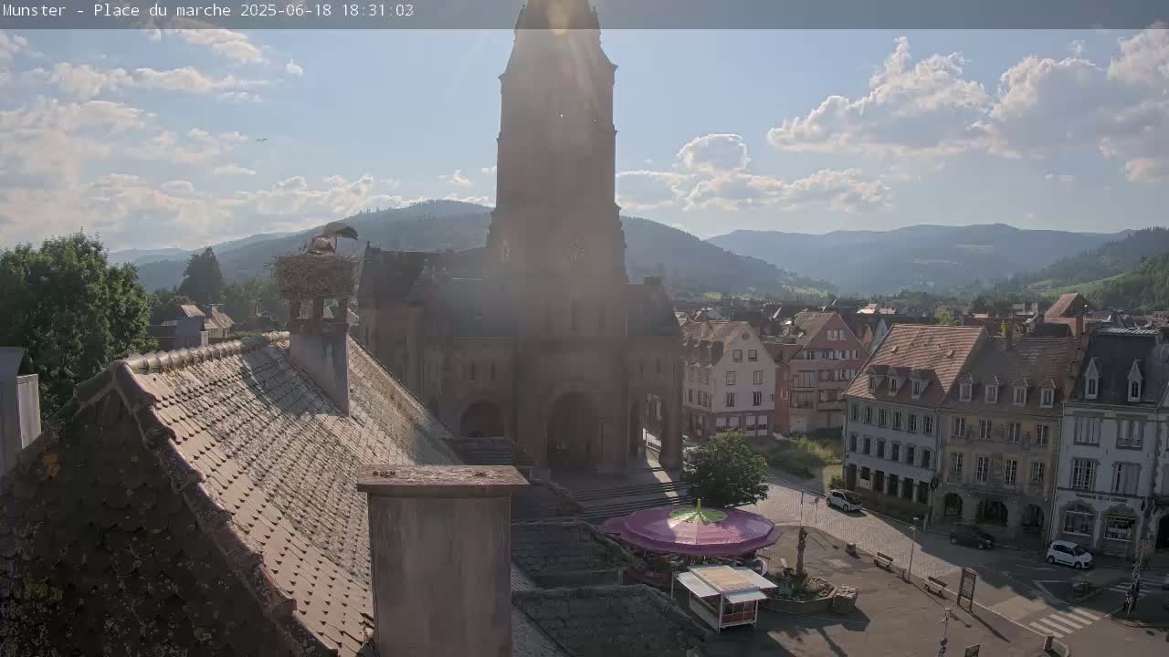 A high-angle view shows a town square with a church, buildings, a carousel, and a stork's nest on a chimney, under a mostly sunny sky with some clouds.