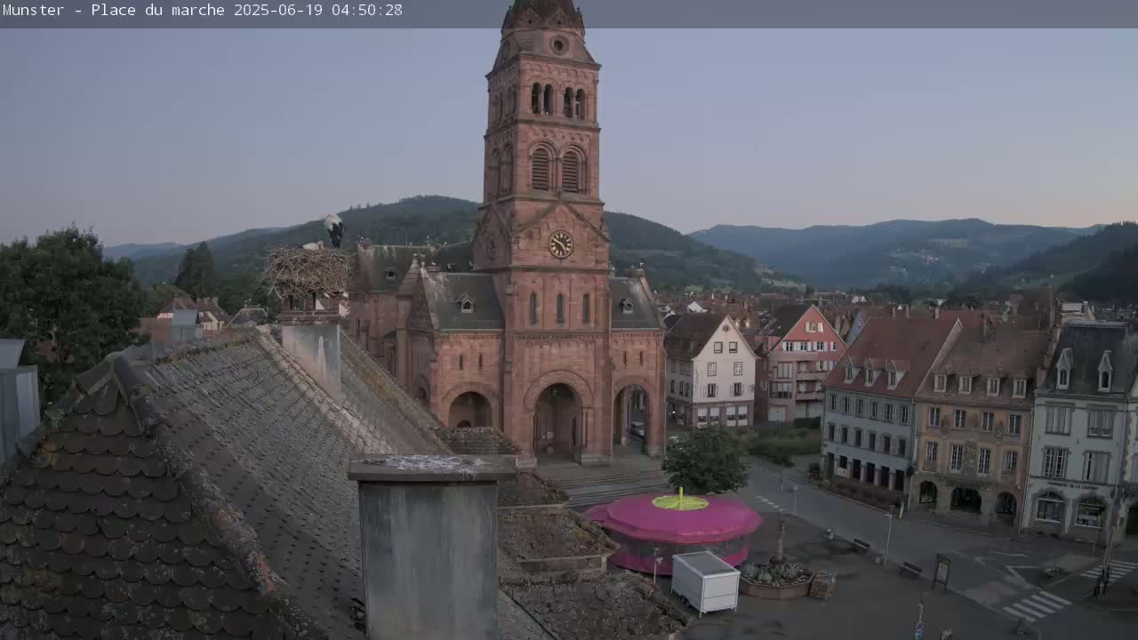 Munster,Place du Marché ( Market Square) & La Fontaine Lion Fountain / Église protestante (Protestant Church) Live Cam -  Colmar-Ribeauvillé, Haut-Rhin, Grand Est, France