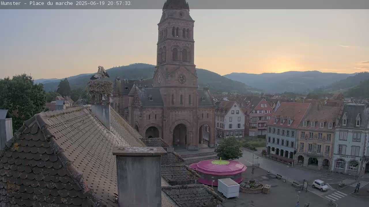 Munster,Place du Marché ( Market Square) & La Fontaine Lion Fountain / Église protestante (Protestant Church) Live Cam -  Colmar-Ribeauvillé, Haut-Rhin, Grand Est, France