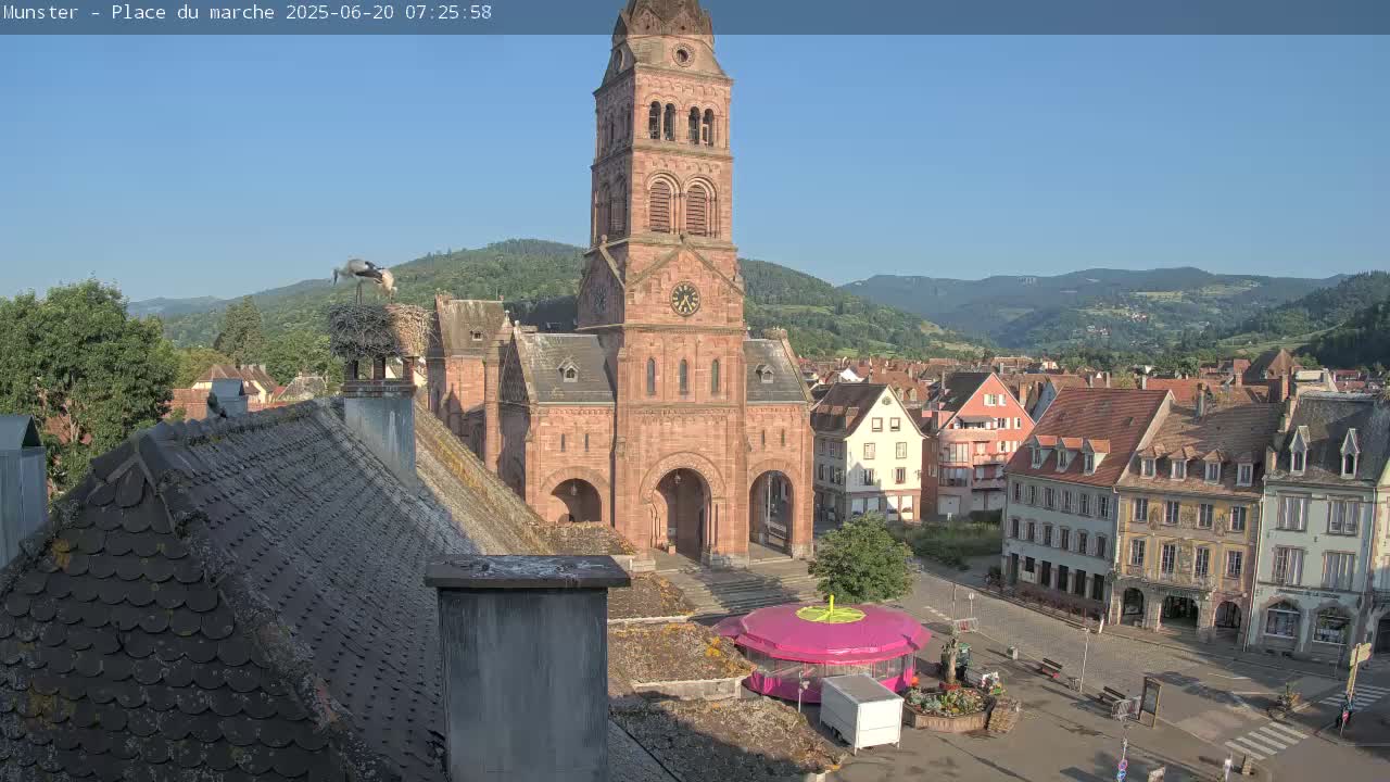 Munster,Place du Marché ( Market Square) & La Fontaine Lion Fountain / Église protestante (Protestant Church) Live Cam -  Colmar-Ribeauvillé, Haut-Rhin, Grand Est, France