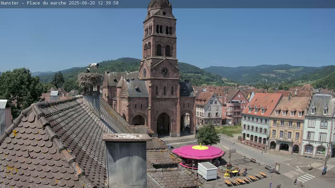 A town square, overlooked by a tall church,  under a clear blue sky; storks are perched on a nearby rooftop.