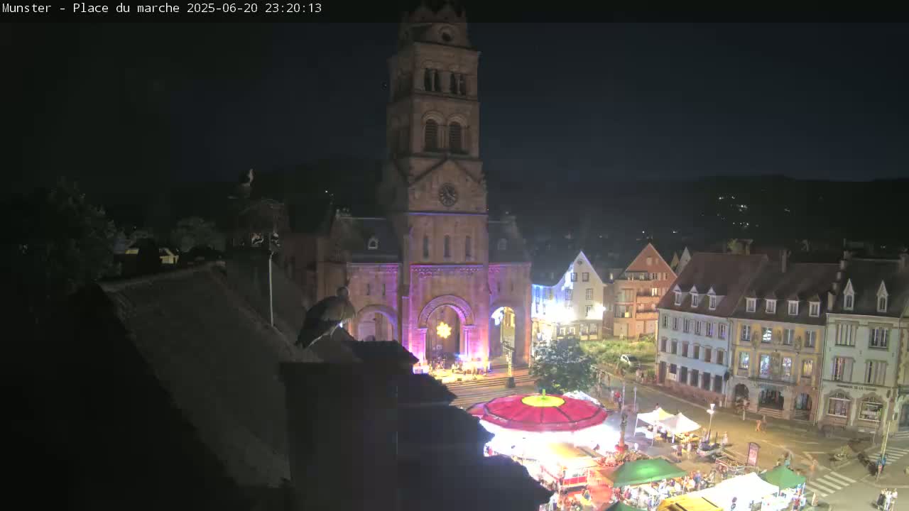 Munster,Place du Marché ( Market Square) & La Fontaine Lion Fountain / Église protestante (Protestant Church) Live Cam -  Colmar-Ribeauvillé, Haut-Rhin, Grand Est, France