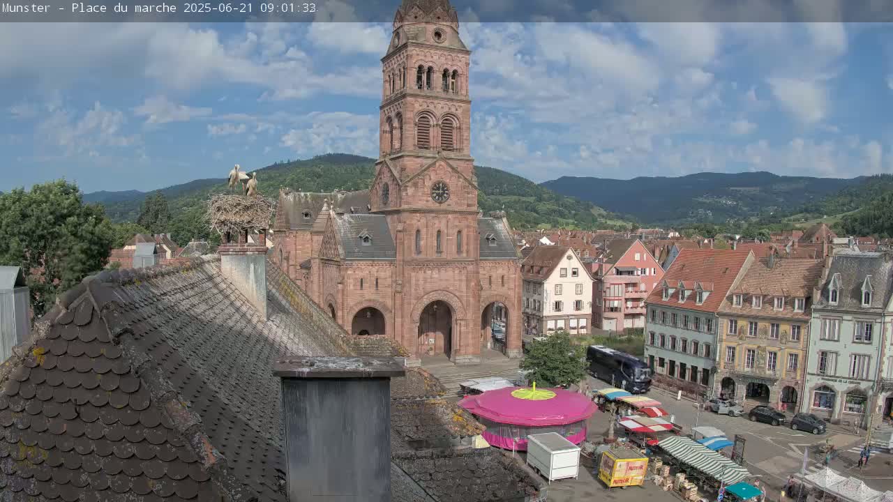 A town square with a large church and a market, nestled in a valley under a mostly sunny sky, features storks in a nest atop a chimney.
