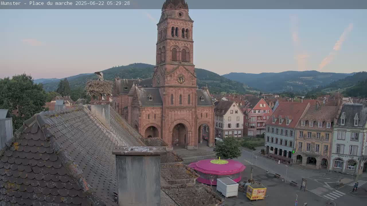 Munster,Place du Marché ( Market Square) & La Fontaine Lion Fountain / Église protestante (Protestant Church) Live Cam -  Colmar-Ribeauvillé, Haut-Rhin, Grand Est, France