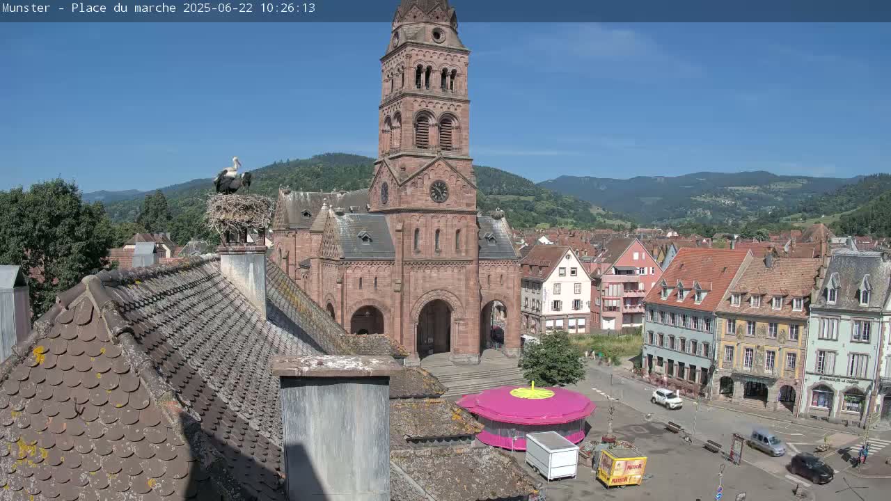 A sunny view of a town square, featuring a large church with a tall tower, several buildings, a small pink carousel, and a pair of storks perched on a chimney.