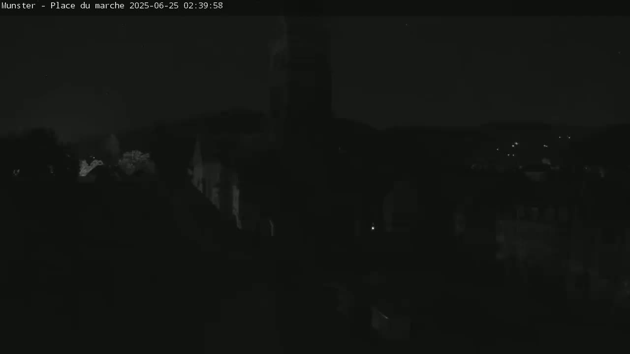 Munster,Place du Marché ( Market Square) & La Fontaine Lion Fountain / Église protestante (Protestant Church) Live Cam -  Colmar-Ribeauvillé, Haut-Rhin, Grand Est, France