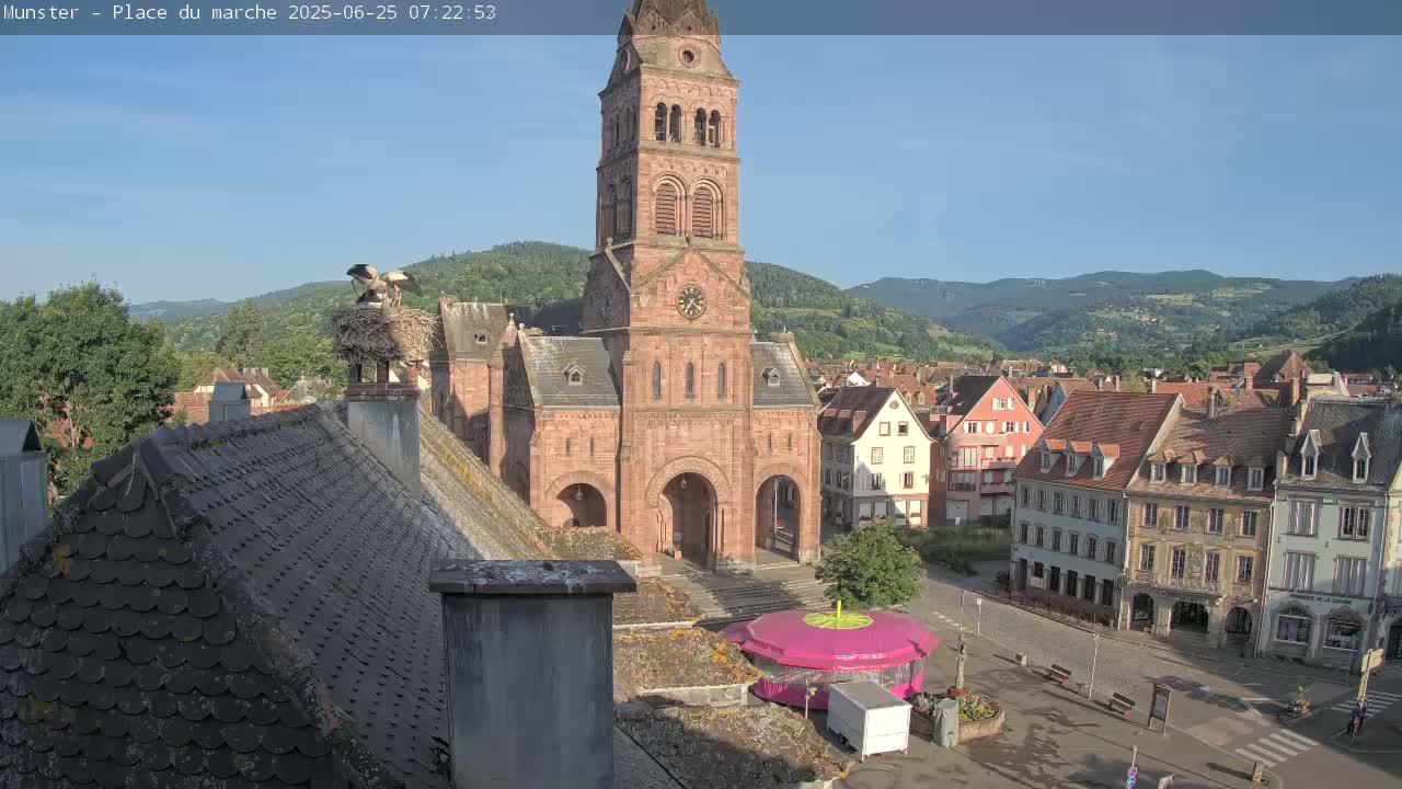 Munster,Place du Marché ( Market Square) & La Fontaine Lion Fountain / Église protestante (Protestant Church) Live Cam -  Colmar-Ribeauvillé, Haut-Rhin, Grand Est, France