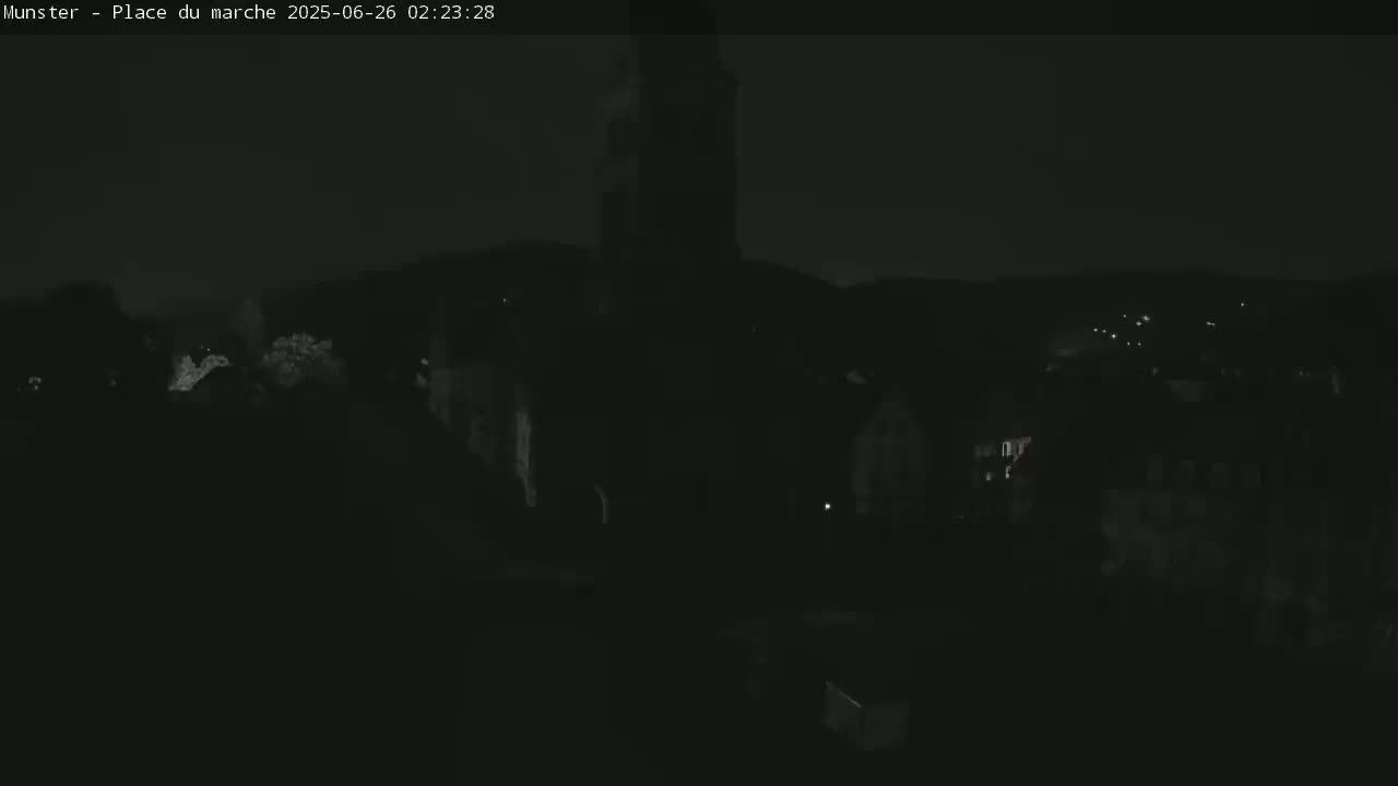 Munster,Place du Marché ( Market Square) & La Fontaine Lion Fountain / Église protestante (Protestant Church) Live Cam -  Colmar-Ribeauvillé, Haut-Rhin, Grand Est, France