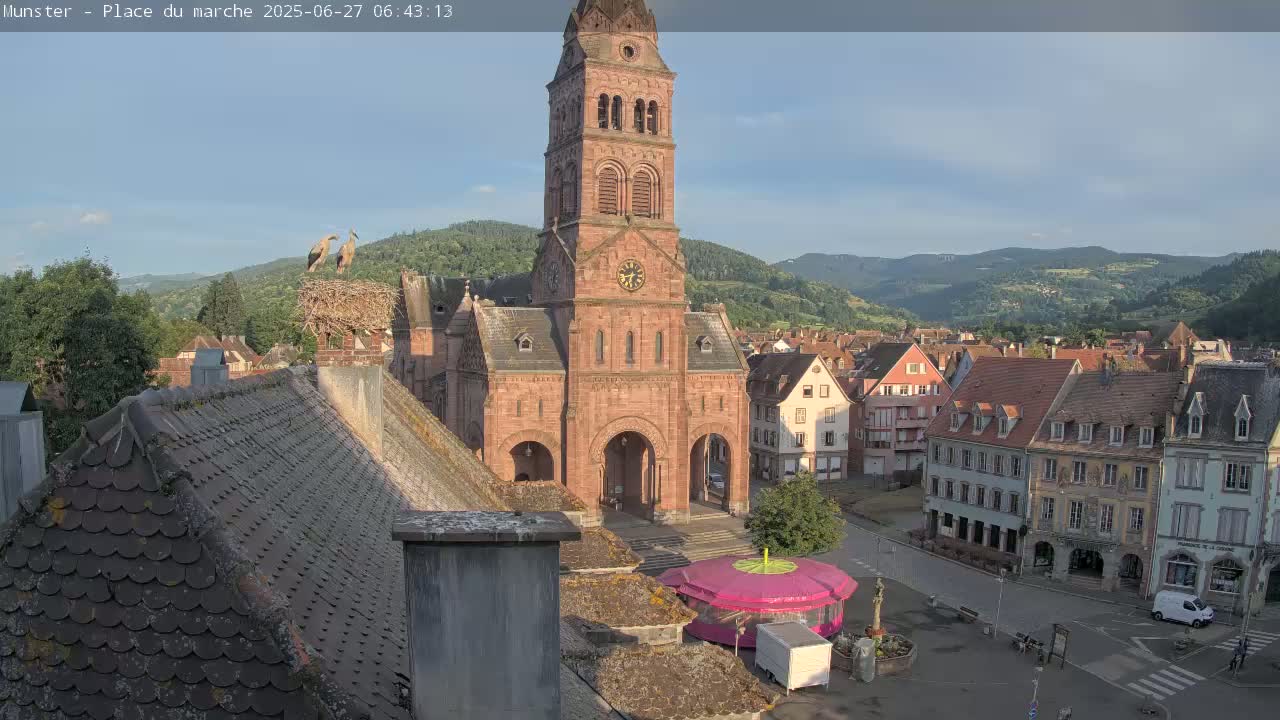 Munster,Place du Marché ( Market Square) & La Fontaine Lion Fountain / Église protestante (Protestant Church) Live Cam -  Colmar-Ribeauvillé, Haut-Rhin, Grand Est, France