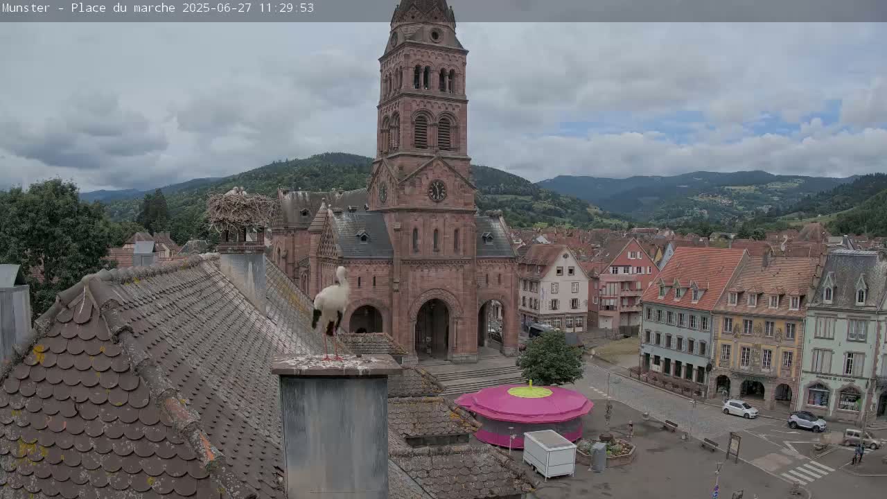 Munster,Place du Marché ( Market Square) & La Fontaine Lion Fountain / Église protestante (Protestant Church) Live Cam -  Colmar-Ribeauvillé, Haut-Rhin, Grand Est, France