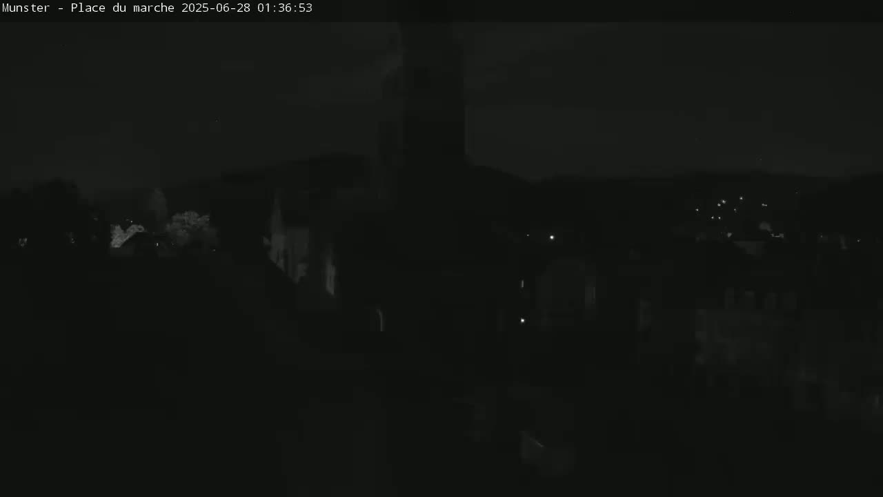 Munster,Place du Marché ( Market Square) & La Fontaine Lion Fountain / Église protestante (Protestant Church) Live Cam -  Colmar-Ribeauvillé, Haut-Rhin, Grand Est, France