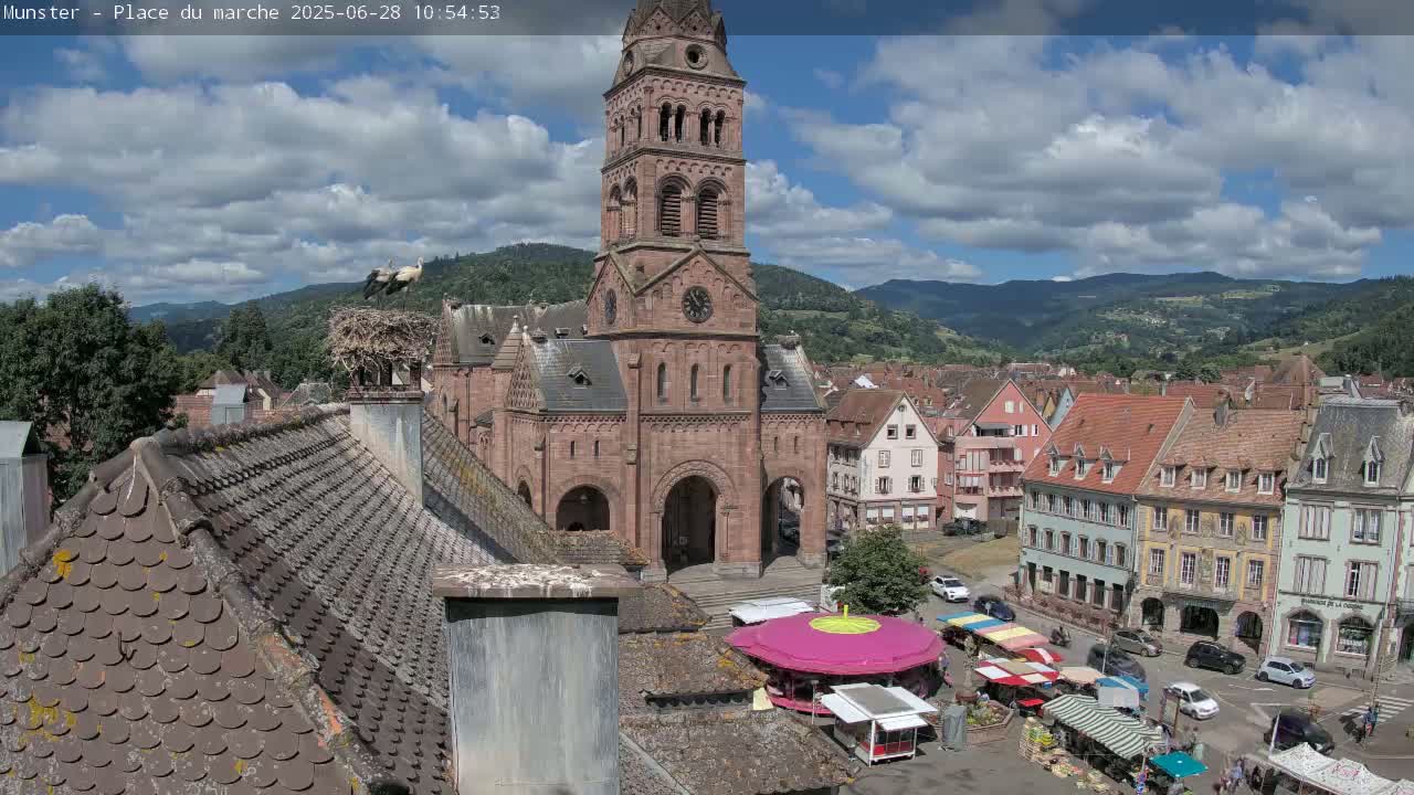 Munster,Place du Marché ( Market Square) & La Fontaine Lion Fountain / Église protestante (Protestant Church) Live Cam -  Colmar-Ribeauvillé, Haut-Rhin, Grand Est, France