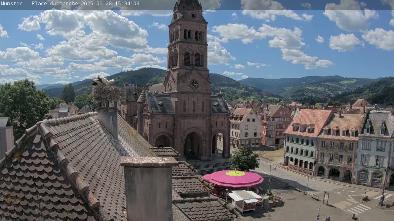 Munster,Place du Marché ( Market Square) & La Fontaine Lion Fountain / Église protestante (Protestant Church) Live Cam -  Colmar-Ribeauvillé, Haut-Rhin, Grand Est, France