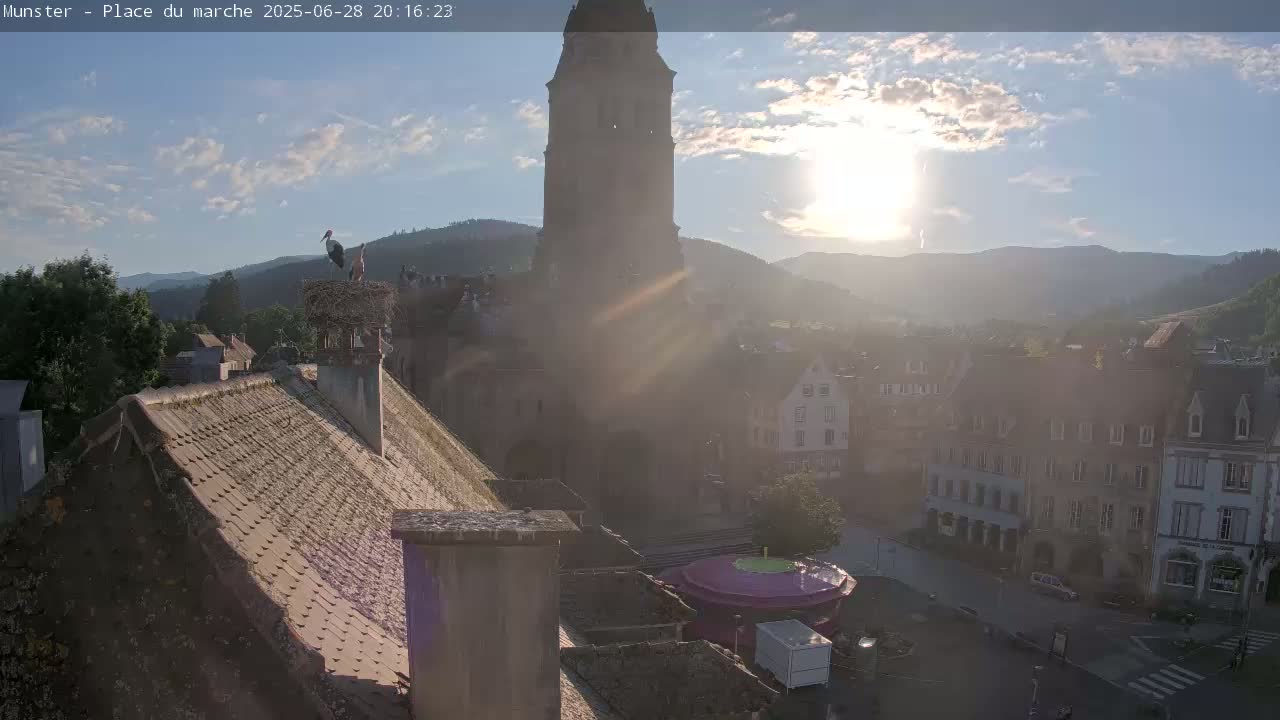 Munster,Place du Marché ( Market Square) & La Fontaine Lion Fountain / Église protestante (Protestant Church) Live Cam -  Colmar-Ribeauvillé, Haut-Rhin, Grand Est, France
