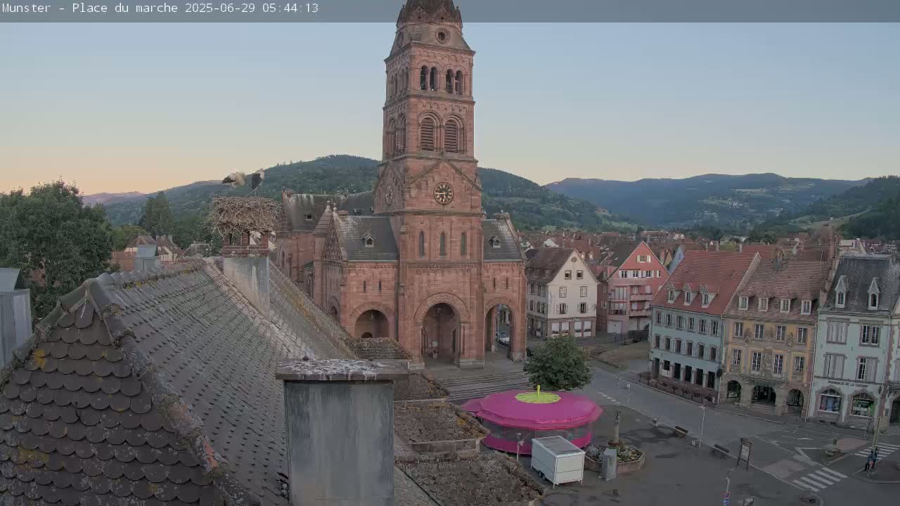 Munster,Place du Marché ( Market Square) & La Fontaine Lion Fountain / Église protestante (Protestant Church) Live Cam -  Colmar-Ribeauvillé, Haut-Rhin, Grand Est, France