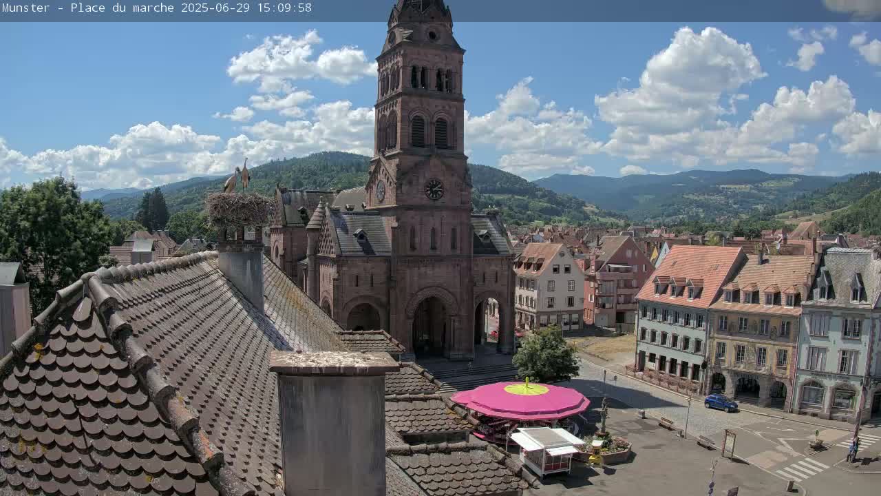 Munster,Place du Marché ( Market Square) & La Fontaine Lion Fountain / Église protestante (Protestant Church) Live Cam -  Colmar-Ribeauvillé, Haut-Rhin, Grand Est, France