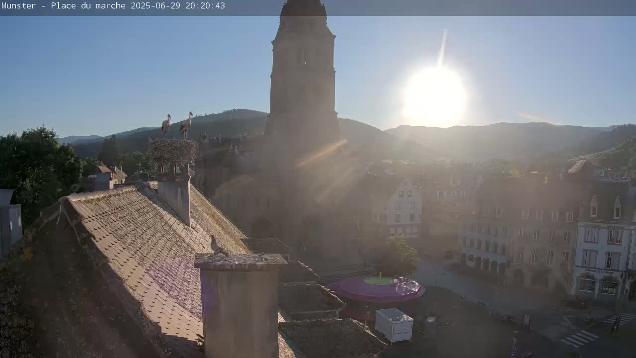 Munster,Place du Marché ( Market Square) & La Fontaine Lion Fountain / Église protestante (Protestant Church) Live Cam -  Colmar-Ribeauvillé, Haut-Rhin, Grand Est, France