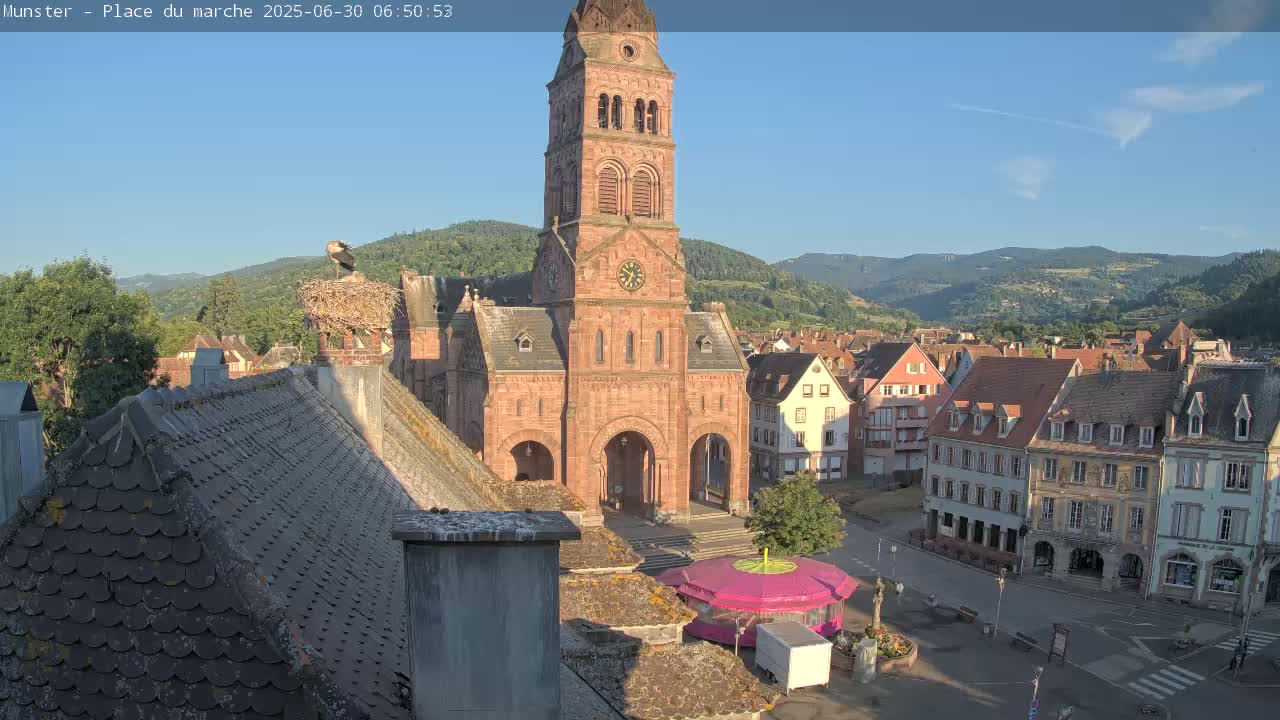 Munster,Place du Marché ( Market Square) & La Fontaine Lion Fountain / Église protestante (Protestant Church) Live Cam -  Colmar-Ribeauvillé, Haut-Rhin, Grand Est, France
