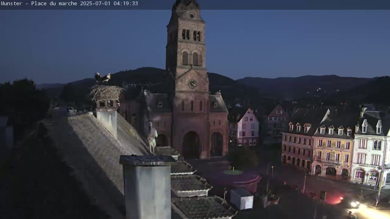 Munster,Place du Marché ( Market Square) & La Fontaine Lion Fountain / Église protestante (Protestant Church) Live Cam -  Colmar-Ribeauvillé, Haut-Rhin, Grand Est, France