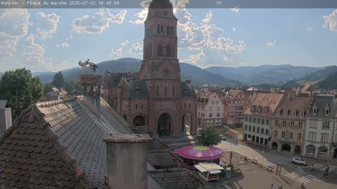 Munster,Place du Marché ( Market Square) & La Fontaine Lion Fountain / Église protestante (Protestant Church) Live Cam -  Colmar-Ribeauvillé, Haut-Rhin, Grand Est, France
