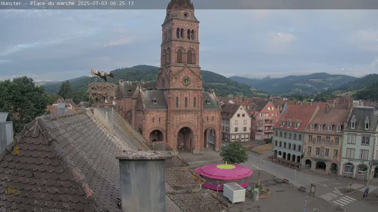 Munster,Place du Marché ( Market Square) & La Fontaine Lion Fountain / Église protestante (Protestant Church) Live Cam -  Colmar-Ribeauvillé, Haut-Rhin, Grand Est, France