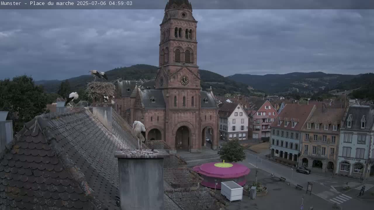 Munster,Place du Marché ( Market Square) & La Fontaine Lion Fountain / Église protestante (Protestant Church) Live Cam -  Colmar-Ribeauvillé, Haut-Rhin, Grand Est, France