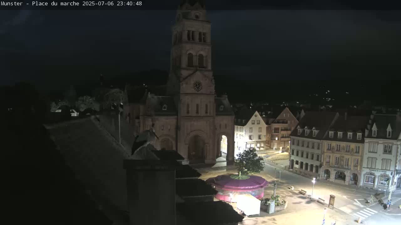 Munster,Place du Marché ( Market Square) & La Fontaine Lion Fountain / Église protestante (Protestant Church) Live Cam -  Colmar-Ribeauvillé, Haut-Rhin, Grand Est, France
