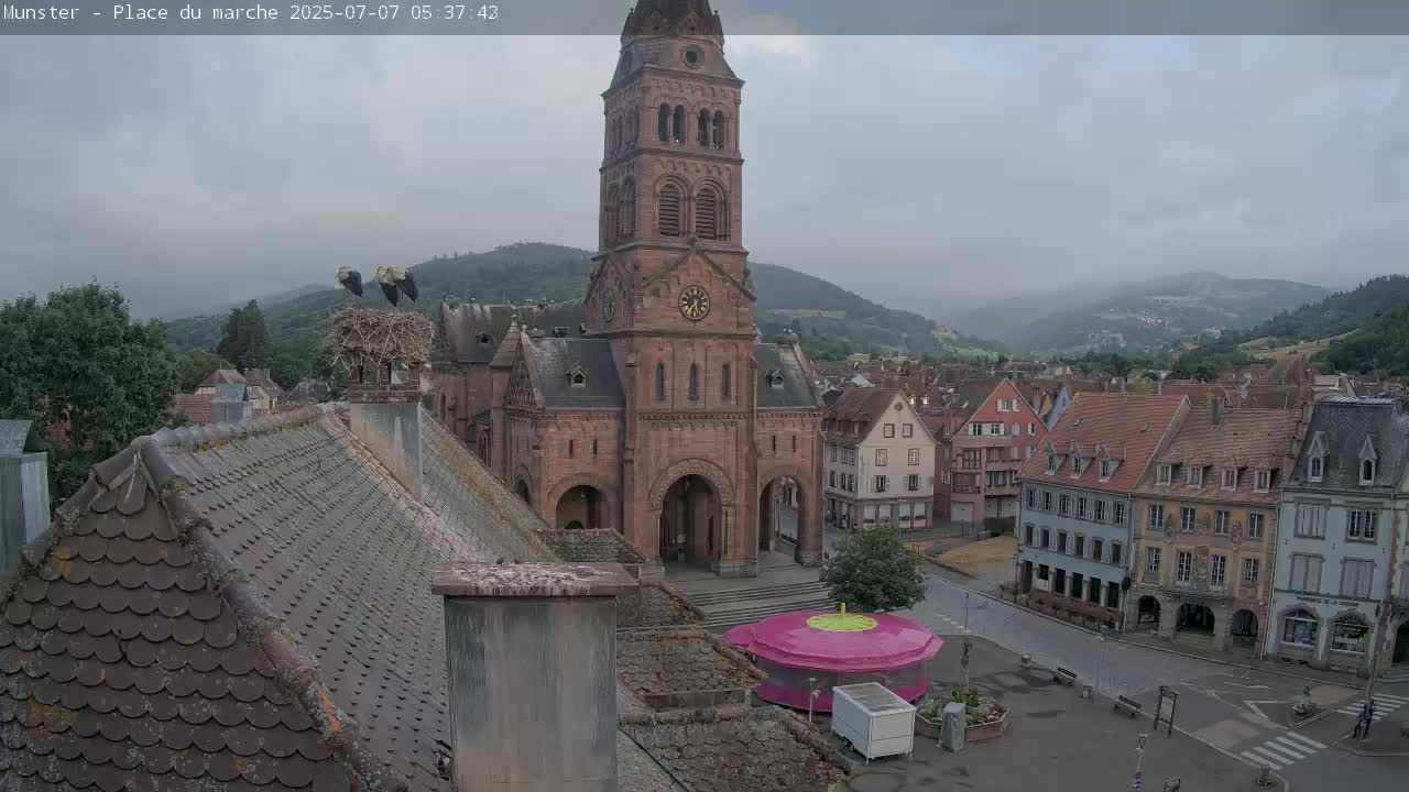 Munster,Place du Marché ( Market Square) & La Fontaine Lion Fountain / Église protestante (Protestant Church) Live Cam -  Colmar-Ribeauvillé, Haut-Rhin, Grand Est, France