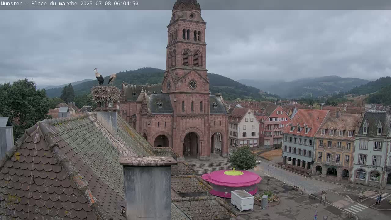 Munster,Place du Marché ( Market Square) & La Fontaine Lion Fountain / Église protestante (Protestant Church) Live Cam -  Colmar-Ribeauvillé, Haut-Rhin, Grand Est, France