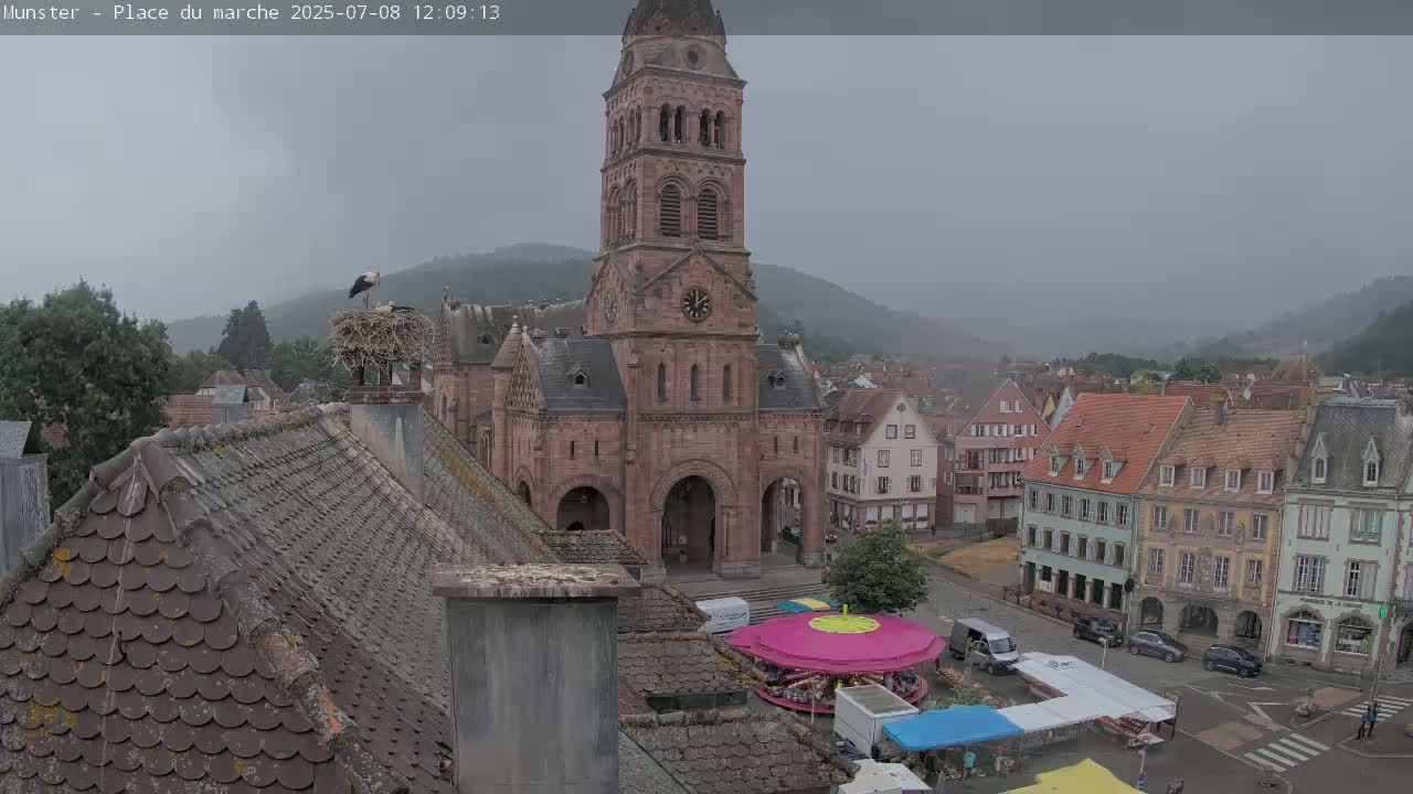Munster,Place du Marché ( Market Square) & La Fontaine Lion Fountain / Église protestante (Protestant Church) Live Cam -  Colmar-Ribeauvillé, Haut-Rhin, Grand Est, France