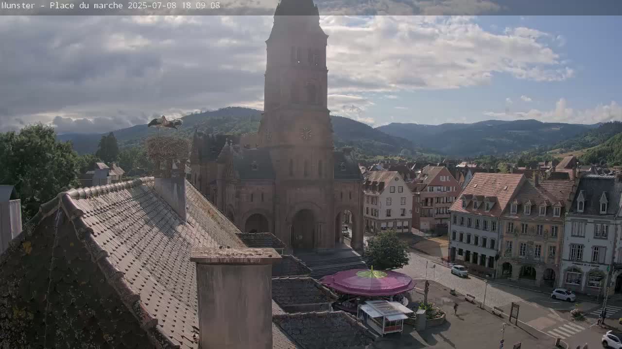 Munster,Place du Marché ( Market Square) & La Fontaine Lion Fountain / Église protestante (Protestant Church) Live Cam -  Colmar-Ribeauvillé, Haut-Rhin, Grand Est, France