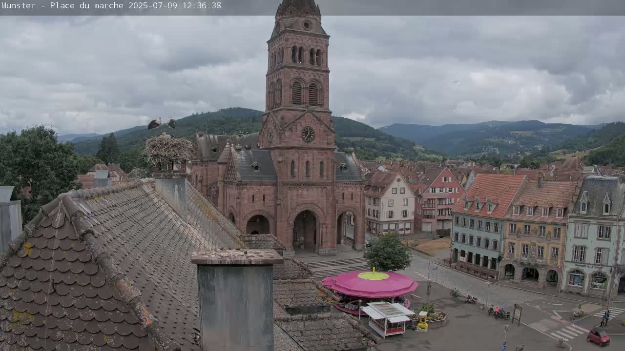 Munster,Place du Marché ( Market Square) & La Fontaine Lion Fountain / Église protestante (Protestant Church) Live Cam -  Colmar-Ribeauvillé, Haut-Rhin, Grand Est, France