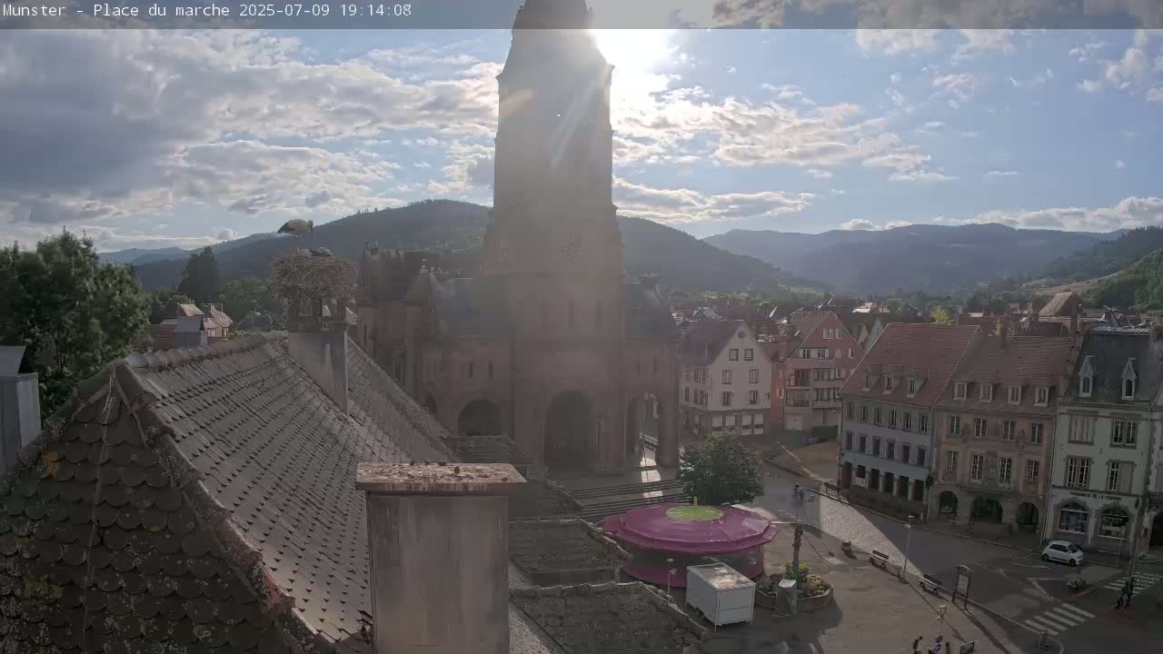 Munster,Place du Marché ( Market Square) & La Fontaine Lion Fountain / Église protestante (Protestant Church) Live Cam -  Colmar-Ribeauvillé, Haut-Rhin, Grand Est, France