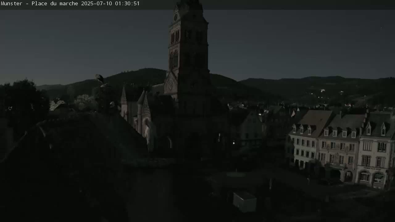 Munster,Place du Marché ( Market Square) & La Fontaine Lion Fountain / Église protestante (Protestant Church) Live Cam -  Colmar-Ribeauvillé, Haut-Rhin, Grand Est, France