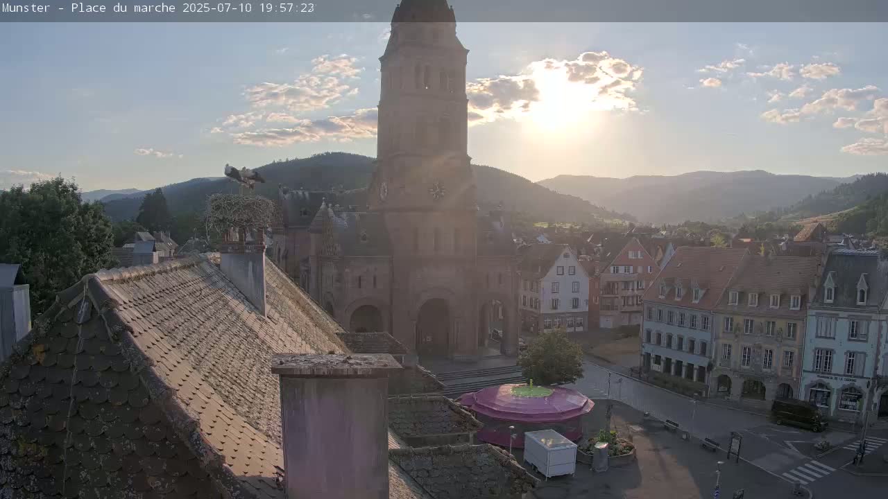 Munster,Place du Marché ( Market Square) & La Fontaine Lion Fountain / Église protestante (Protestant Church) Live Cam -  Colmar-Ribeauvillé, Haut-Rhin, Grand Est, France