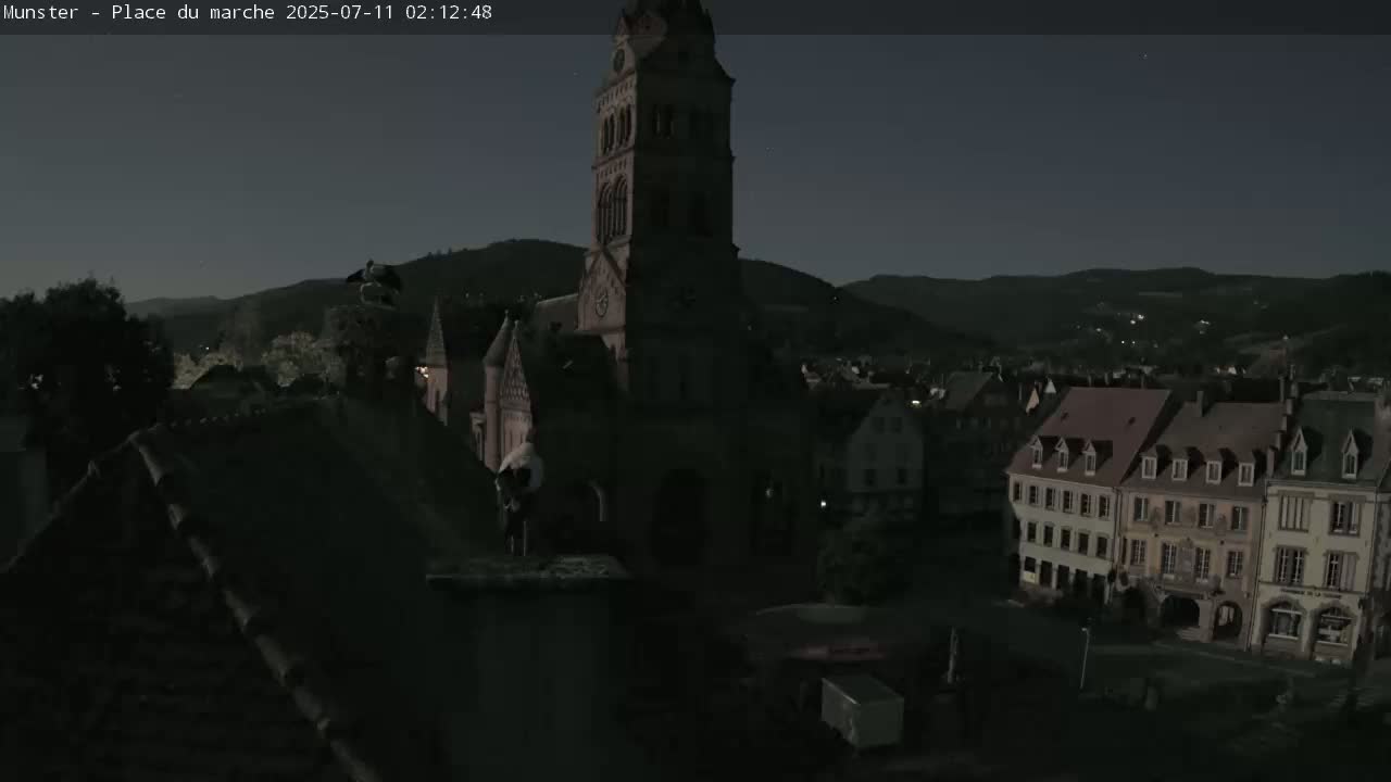 Munster,Place du Marché ( Market Square) & La Fontaine Lion Fountain / Église protestante (Protestant Church) Live Cam -  Colmar-Ribeauvillé, Haut-Rhin, Grand Est, France