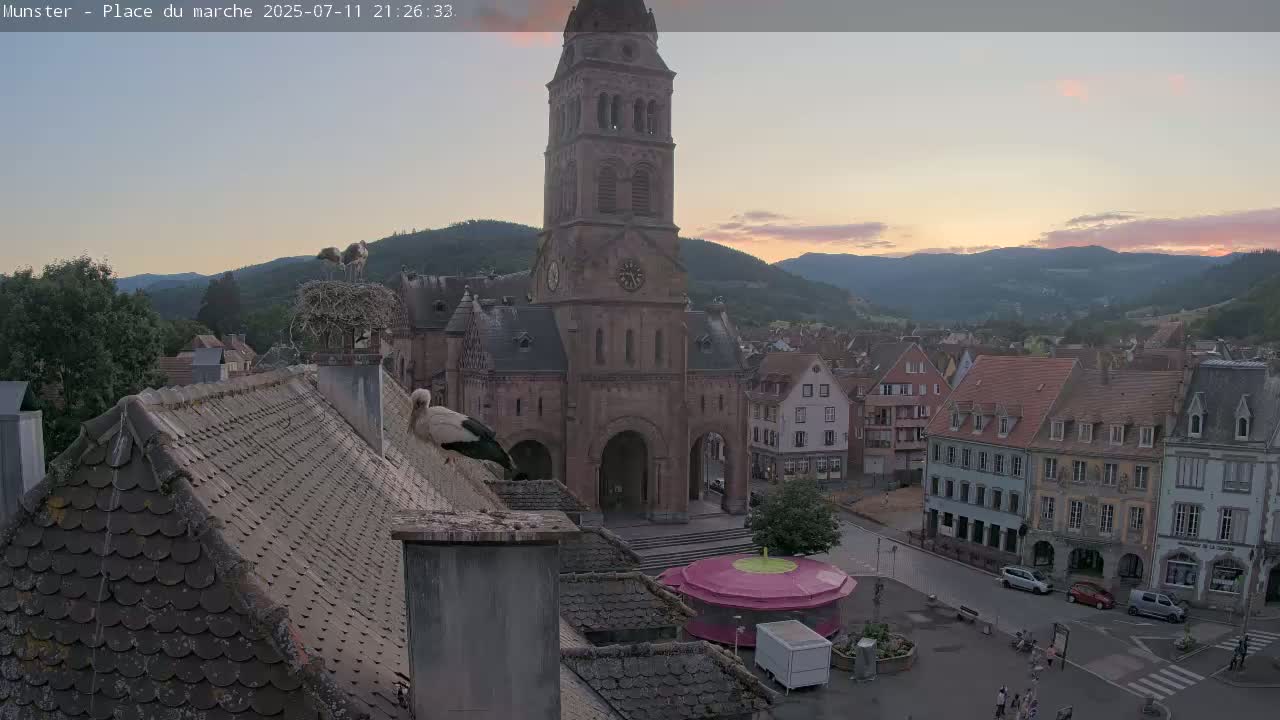 Munster,Place du Marché ( Market Square) & La Fontaine Lion Fountain / Église protestante (Protestant Church) Live Cam -  Colmar-Ribeauvillé, Haut-Rhin, Grand Est, France
