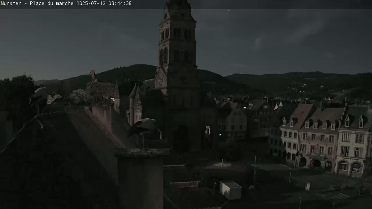 Munster,Place du Marché ( Market Square) & La Fontaine Lion Fountain / Église protestante (Protestant Church) Live Cam -  Colmar-Ribeauvillé, Haut-Rhin, Grand Est, France