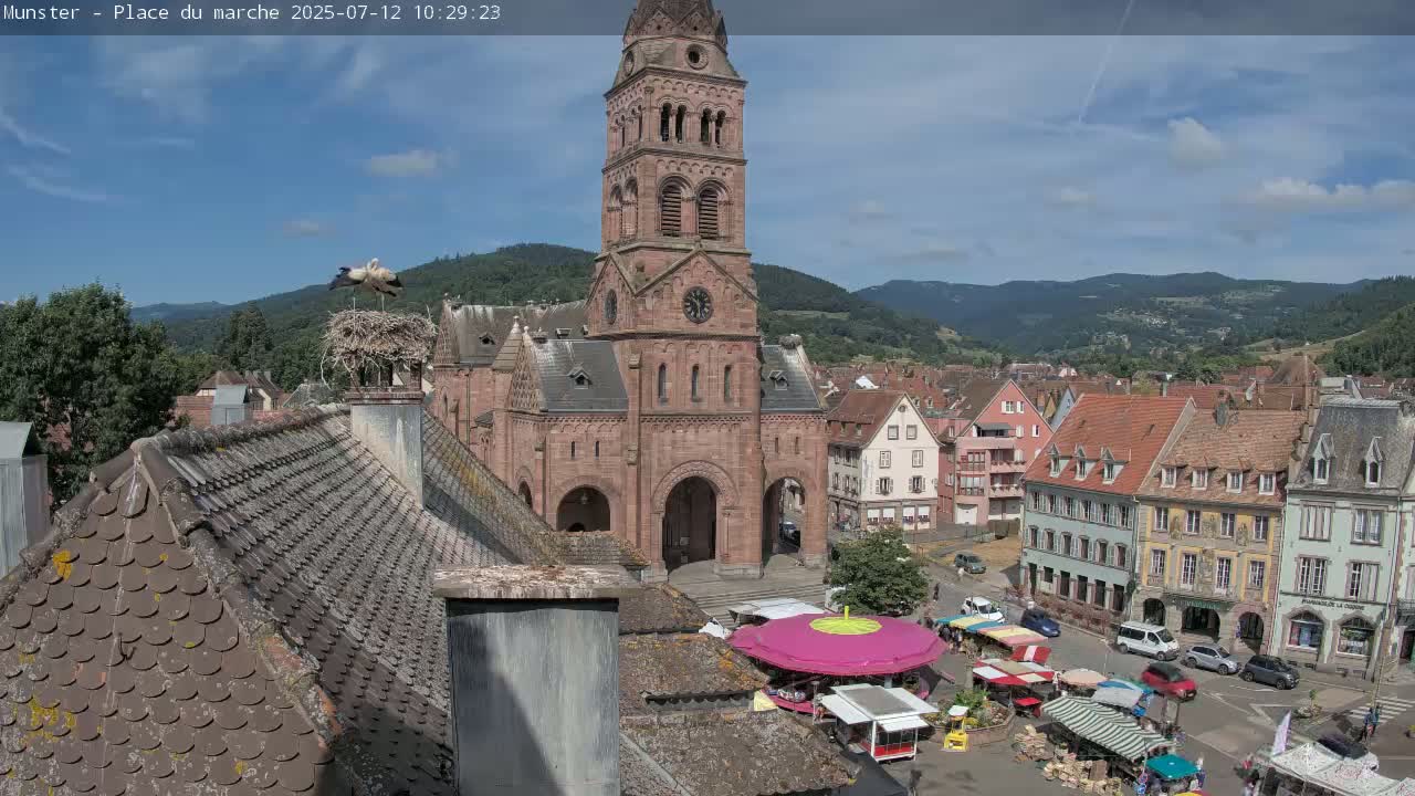 A stork stands in a nest atop a church in a town square market, under a partly cloudy sky, with mountains in the background.